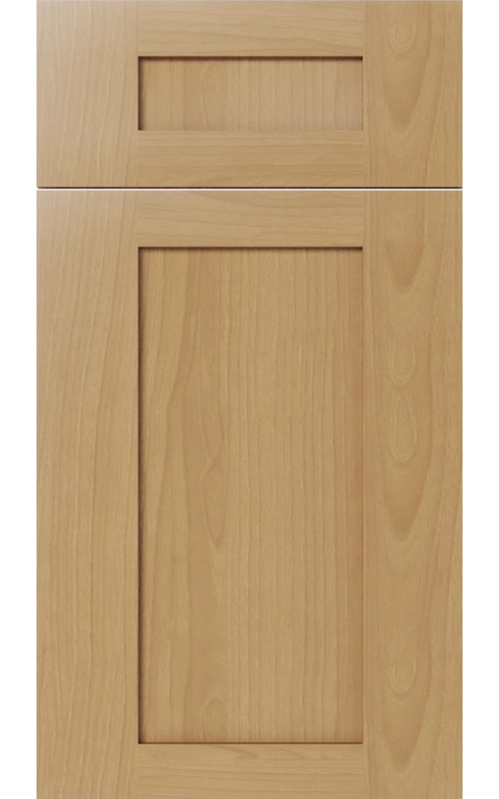 Treasure Chest cabinet door